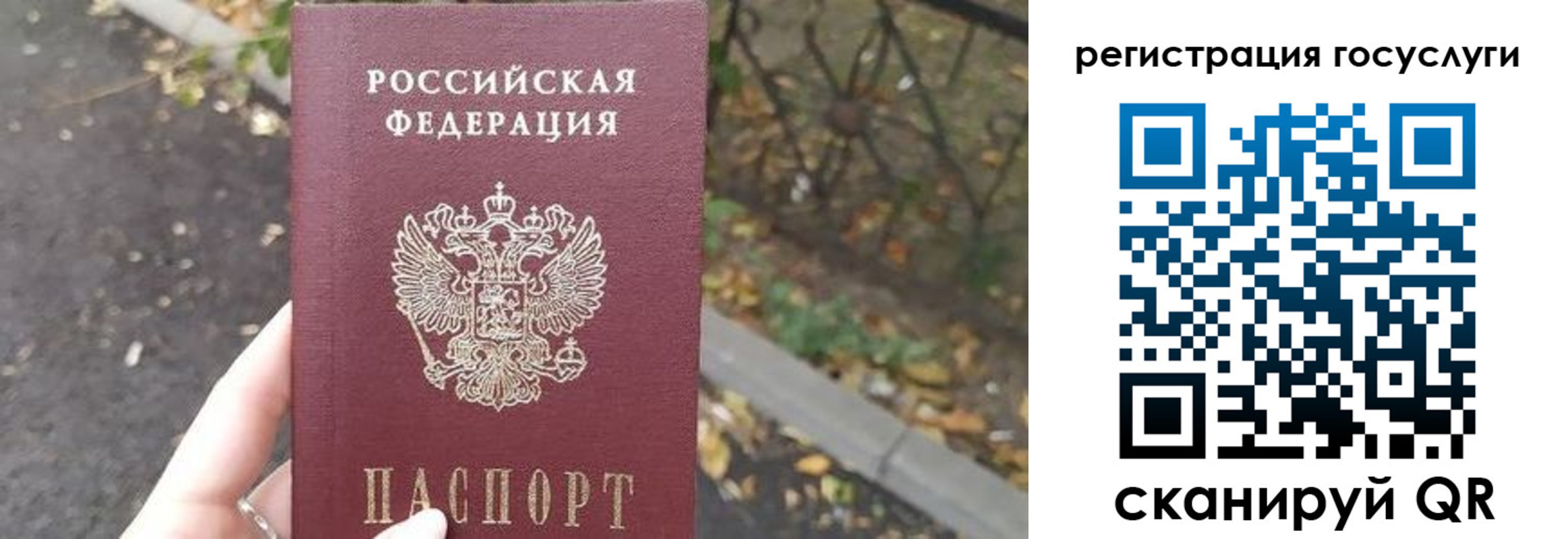 купить прописку в Павлово